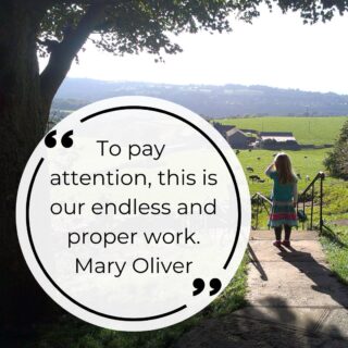WHY DO BOOKS MATTER? Instagram can only capture vignettes of life. Podcasts present a curated discussion of particular issues. Books somehow transport us deep into another world and a story or the depth of an issue in a non-fiction book. They give us opportunities to feel, see, hear and almost taste and touch. I can tell you that the bits that you don't necessarily see about making books are often not very glamorous. Lots of admin, typing, emails, carrying boxes of books, packing, unpacking, repacking, and very occasionally beautiful moments of seeing illustrations, receiving the finished copy, smelling new books fresh from the printers, seeing a book cover coming to life. Small moments that help us keep optimistic throughout the bumps in the road. Because the books and the stories and what they teach us about life are worth it. #publishinglife #optimist #bookoptimist #WBD2026 #goallin