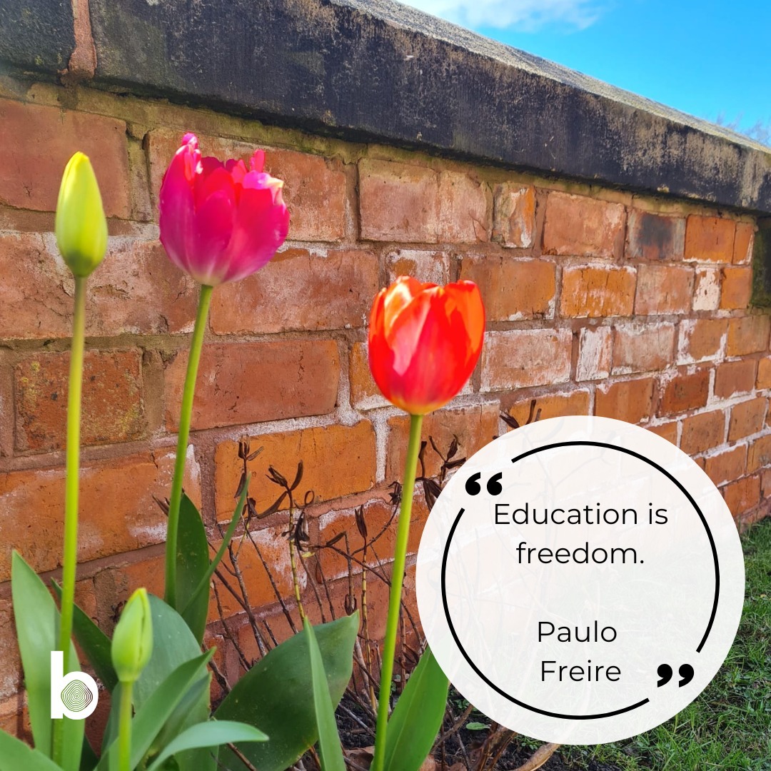 'Education is freedom'
Paulo Freire
Image: Tulips by a red-brick wall in the sunshine