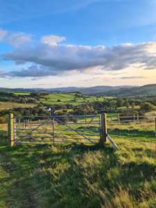 Image of rolling green fields with autumnal low light, a blue sky with a few clouds. In the foreground, there is a metal gate.