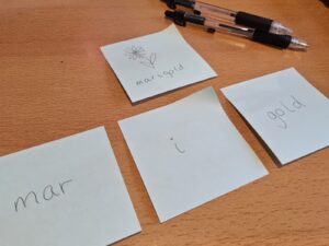 4 sticky notes on a desk. The one at the top has a sketch of a flower with the full word 'marigold' on it. The 3 sticky notes in a row have the 3 syllables written on them so 'mar', then 'I', and then 'gold' on the last sticky note.