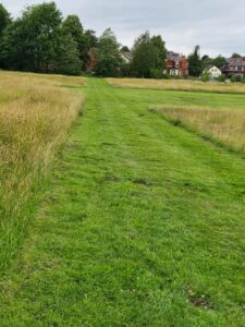 Cut grass paths with trees and houses in the background.